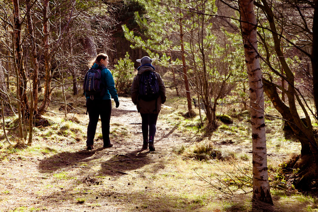 2 people walking in step through a forest while doing walking-coaching